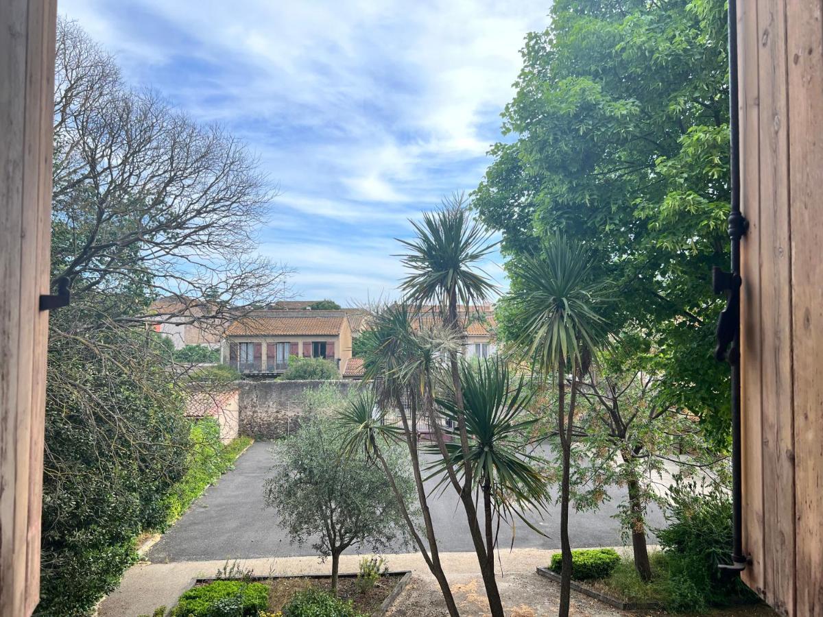 Cote Jardin Est Un Spacieux Et Lumineux T3, Entierement Renove, A 2 Pas De L'Herault Et A 10Min Du Bord De Mer Proche Du Centre Historique Et Du Fabuleux Chateau Laurens, Vous Apprecierez Le Calme De Sa Belle Terrasse Et La Vue Superbe Sur Le Jardin アグド エクステリア 写真